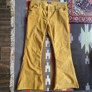 Run and fly flare bell bottom cords